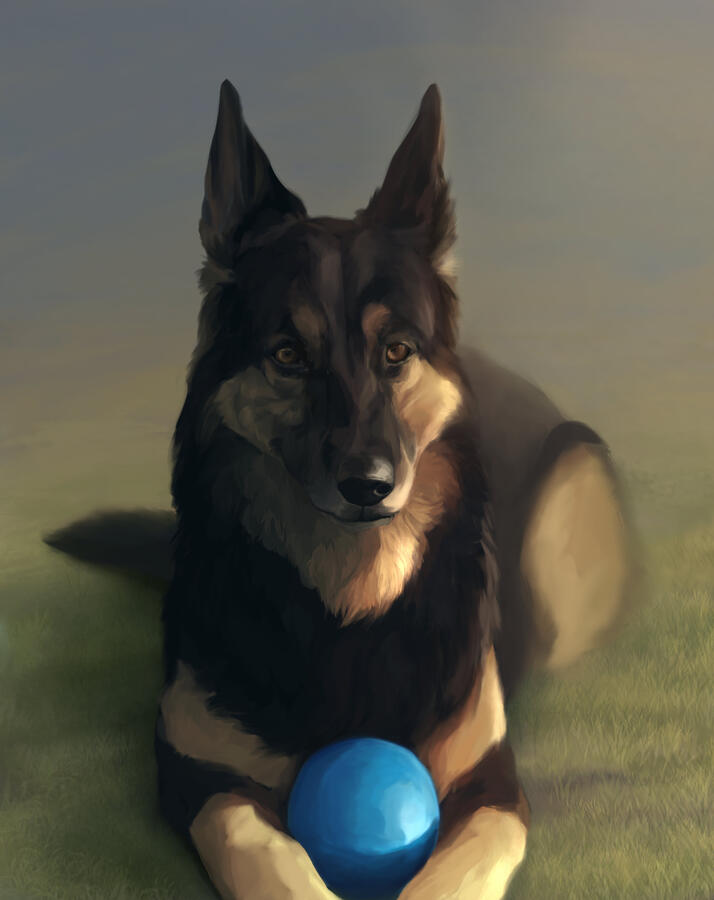 detailed pet portrait