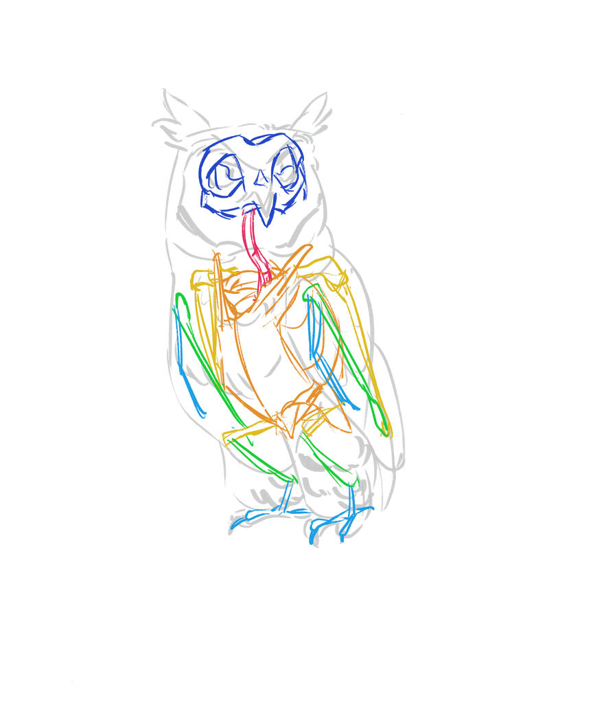 owl skeletal system
