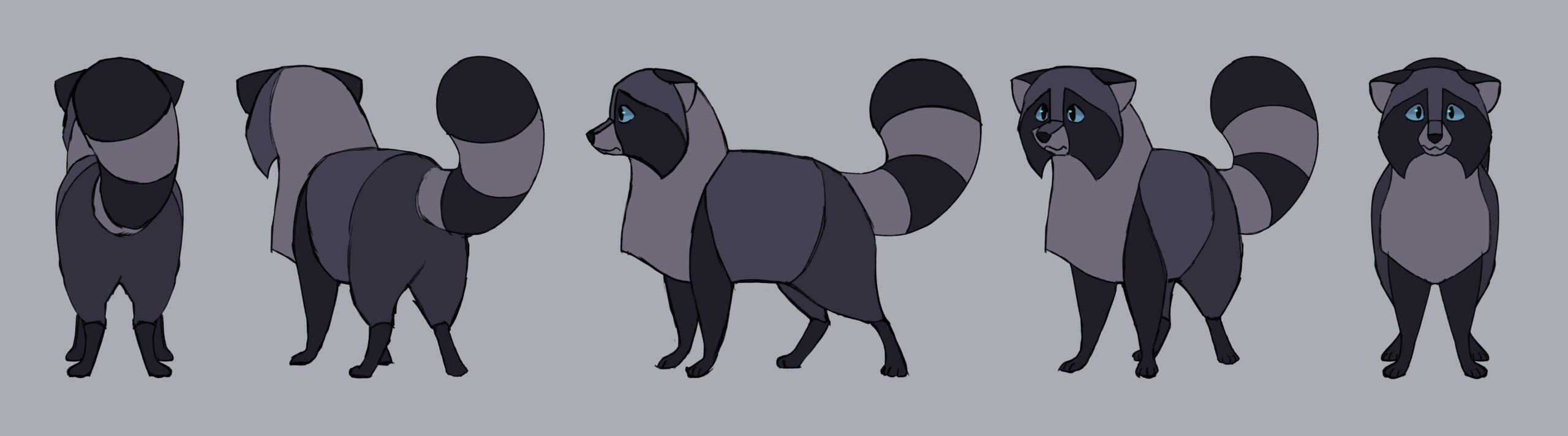 raccoon turnaround