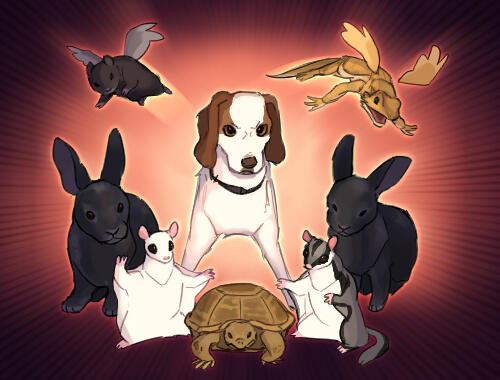 they came for the pets